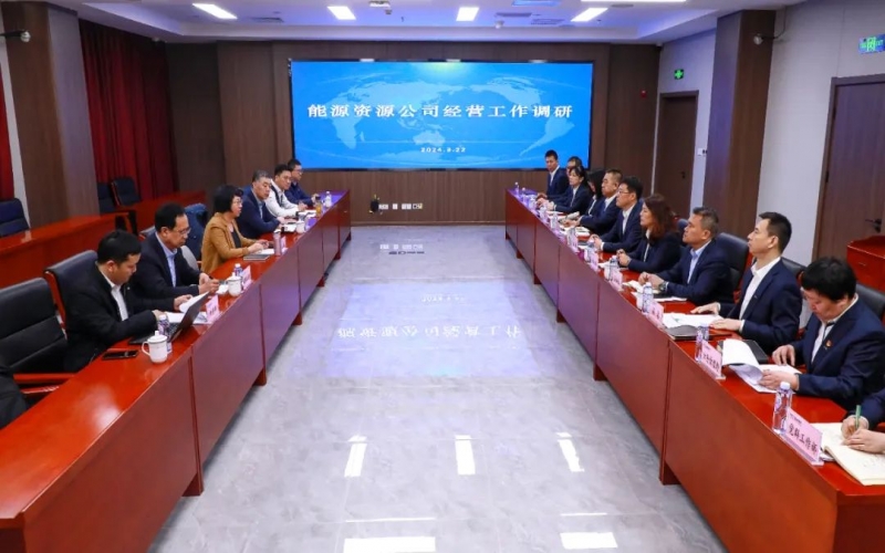 张颖总经理带队深入能源资源公司调研指导工作