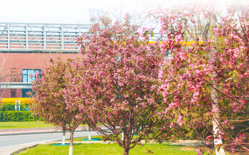 视觉 - 来，一起走进春天里的钢铁