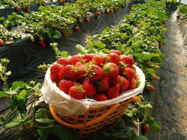 图片关键词 图片关键词