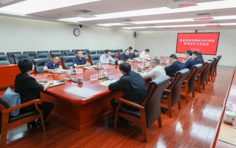 党建引领 凝心聚力 集团召开党组织书记例会暨理论学习交流会