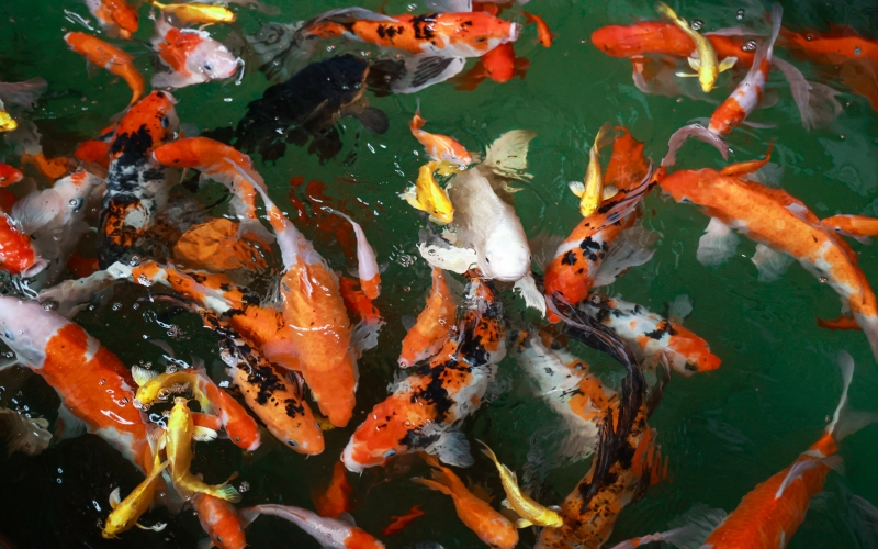 媒体 - 新华社：产业链上抓升级 制造业企业“转型记”