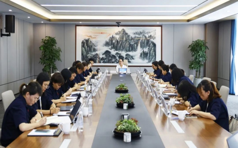 集团财务中心召开2023年上半年工作总结暨下半年工作部署会议