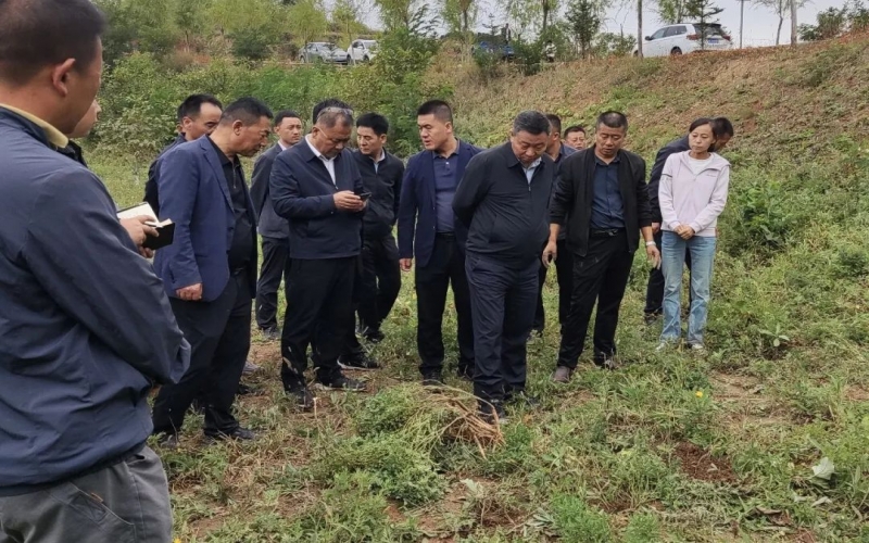 天水市政协副主席、清水县委书记马越垠到“百草庄园”中药材试验基地调研中草药产业发展工作