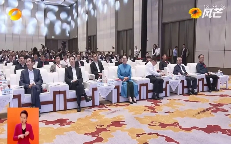 2023全国民营企业科技创新与标准创新大会在长沙召开 集团董事会主席张荣华出席