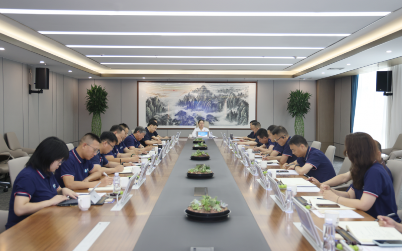 学习贯彻全会精神 以氢赋能创新竞进 新能集团2024年上半年总结暨下半年工作部署会议圆满召开