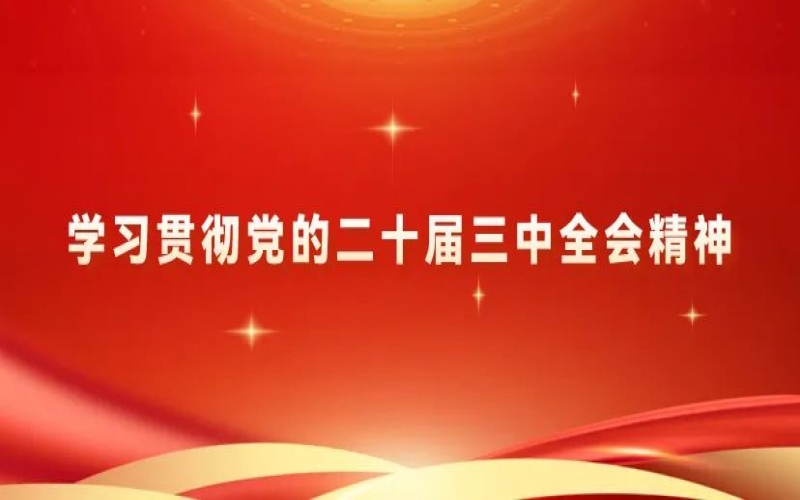 党建阵地 - 集团党员干部学习贯彻党的二十届三中全会精神体会交流（五）