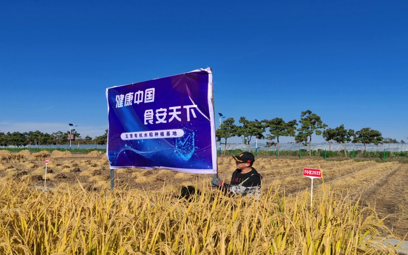 集团：一粒“种子”的新担当